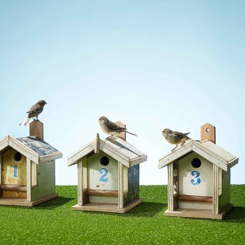 Birdhouse Michael Blann Photo Retouch