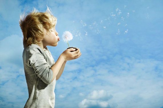 Boy-and-Dandelions-Stock-02