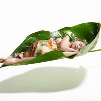 Child Sleeping on a Leaf Photo Edit