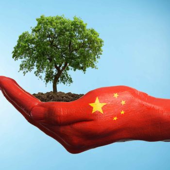 China and baby tree growing Image Edit