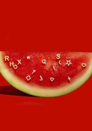 RHOX Watermelon Jewelry