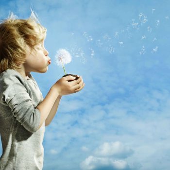 dan boy blowing dandelion